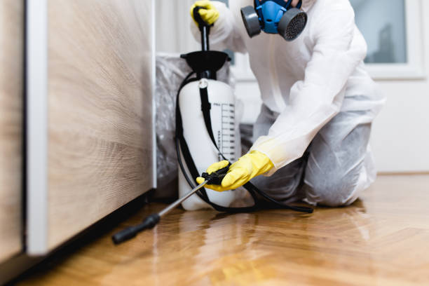 Best Cockroach Control Services  in Wind Gap, PA