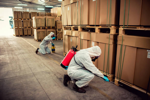 Flea Control Services in Wind Gap, PA