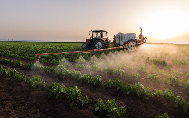 Best Pest Prevention Services  in Wind Gap, PA