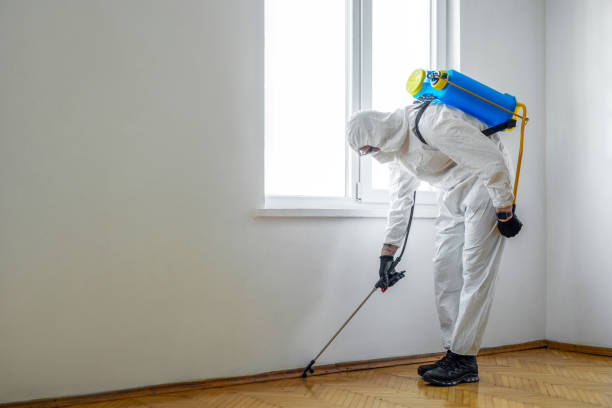 Best Termite Control Services  in Wind Gap, PA