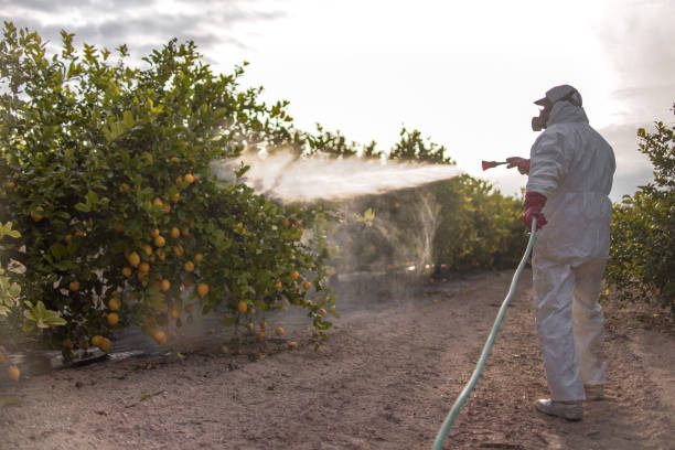 Best Affordable Pest Control Services  in Wind Gap, PA