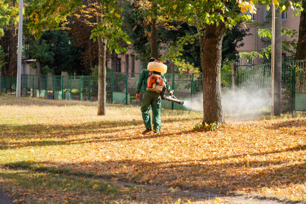 Best Mosquito Control Services  in Wind Gap, PA