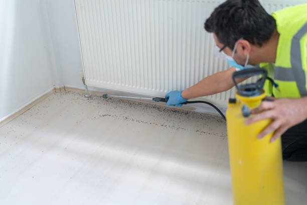 Best Pest Control Cost  in Wind Gap, PA
